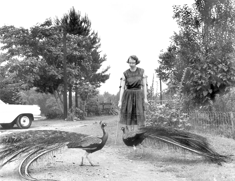 Flannery to 'A'